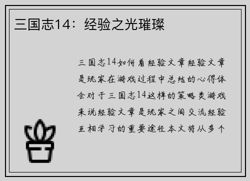 三国志14：经验之光璀璨